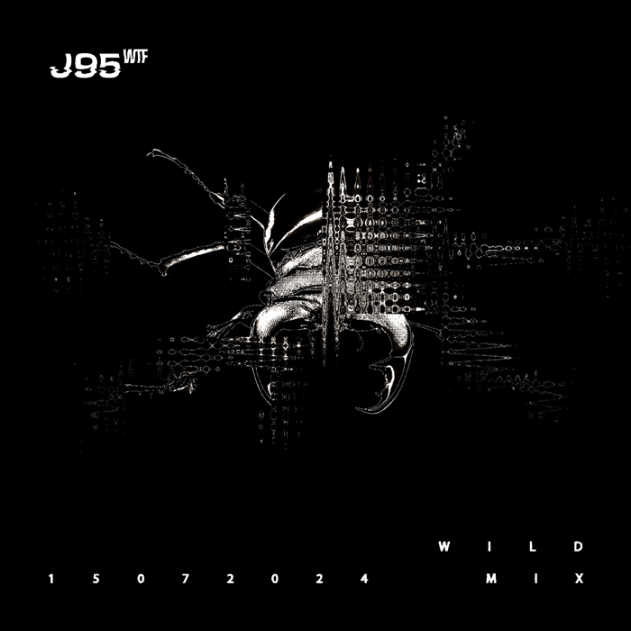 Wildmix – J95.WTF